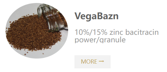 VegaBazn-zinc bacitracin powder granule.png